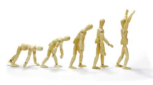 Emotionale Evolution